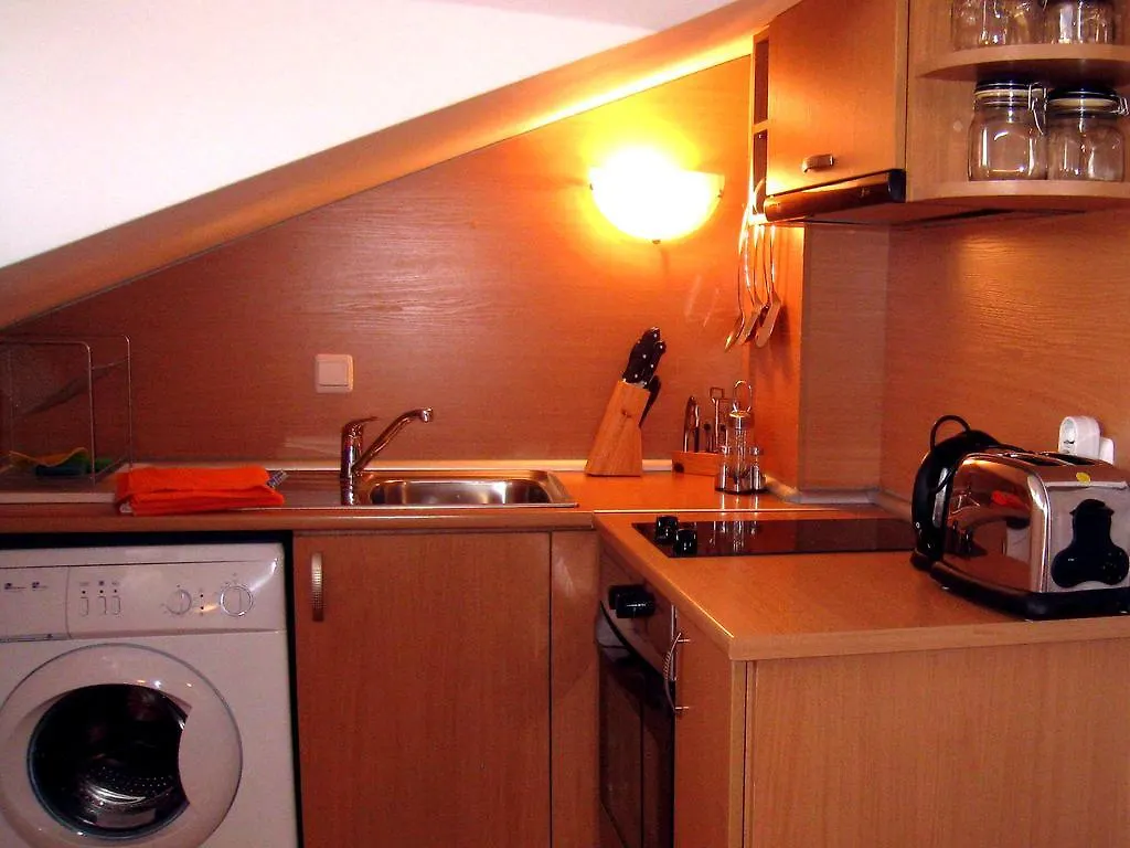 公寓式酒店 Apartments Four Leaf Clover Bansko To Rent