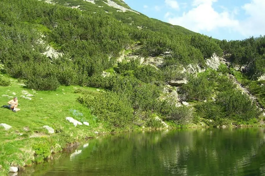 公寓式酒店 Apartments Four Leaf Clover Bansko To Rent