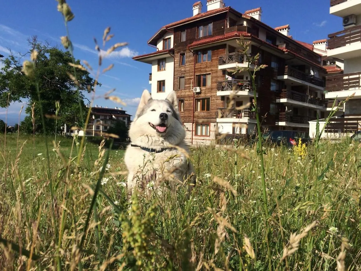 Apartments Four Leaf Clover Bansko To Rent 3*,  保加利亚